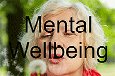 Mental Wellbeing 